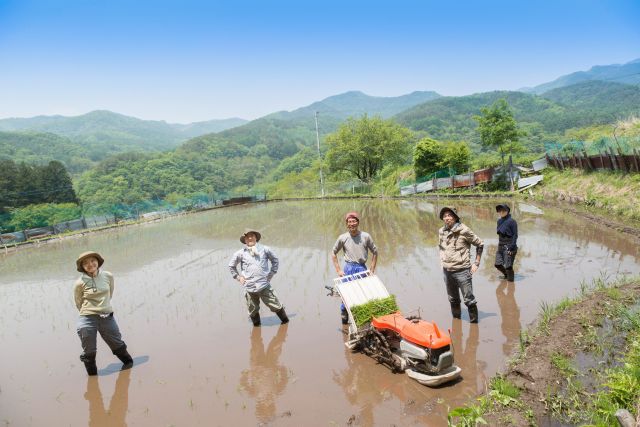 農業 仕分け作業・資材仕分・農産物仕分け