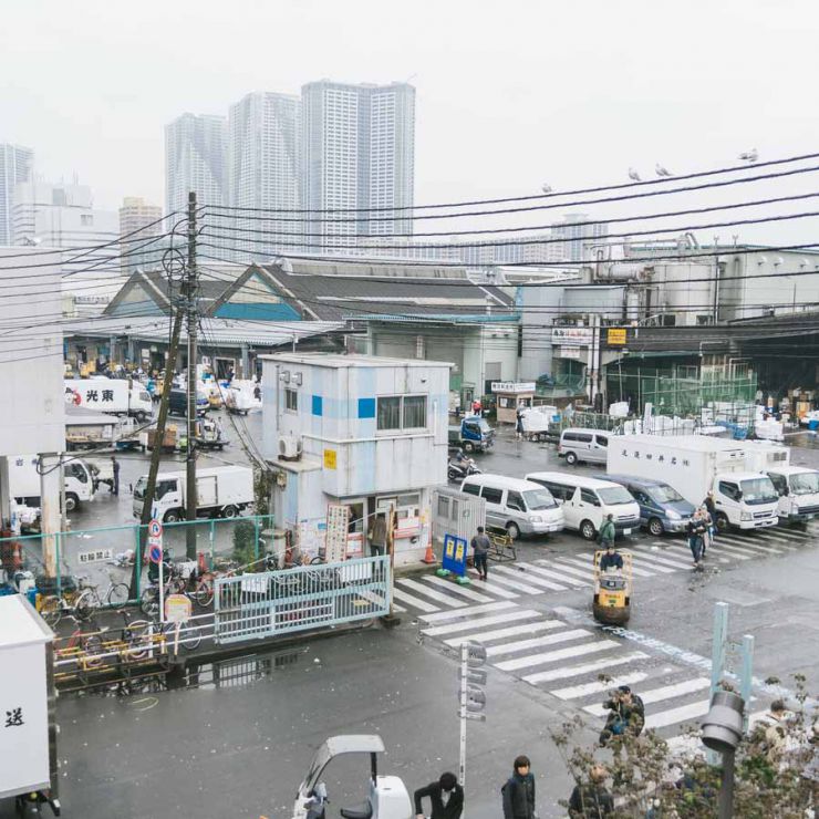 水産・漁業 仕分け作業　ごみ・農産物仕分け