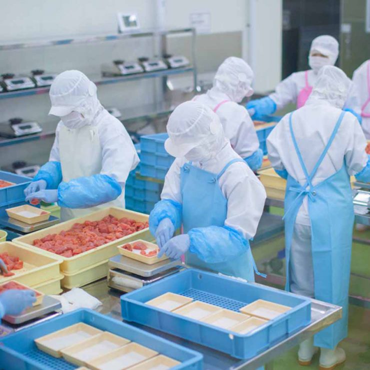 資源ごみ分別 食品工場 簡単資源ごみ分別 食品工場 簡単ゴミ仕分 資源ごみ分別 食品工場 簡単資源ごみ分別 食品工場 簡単ゴミ仕分
