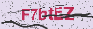 Captcha認証コード